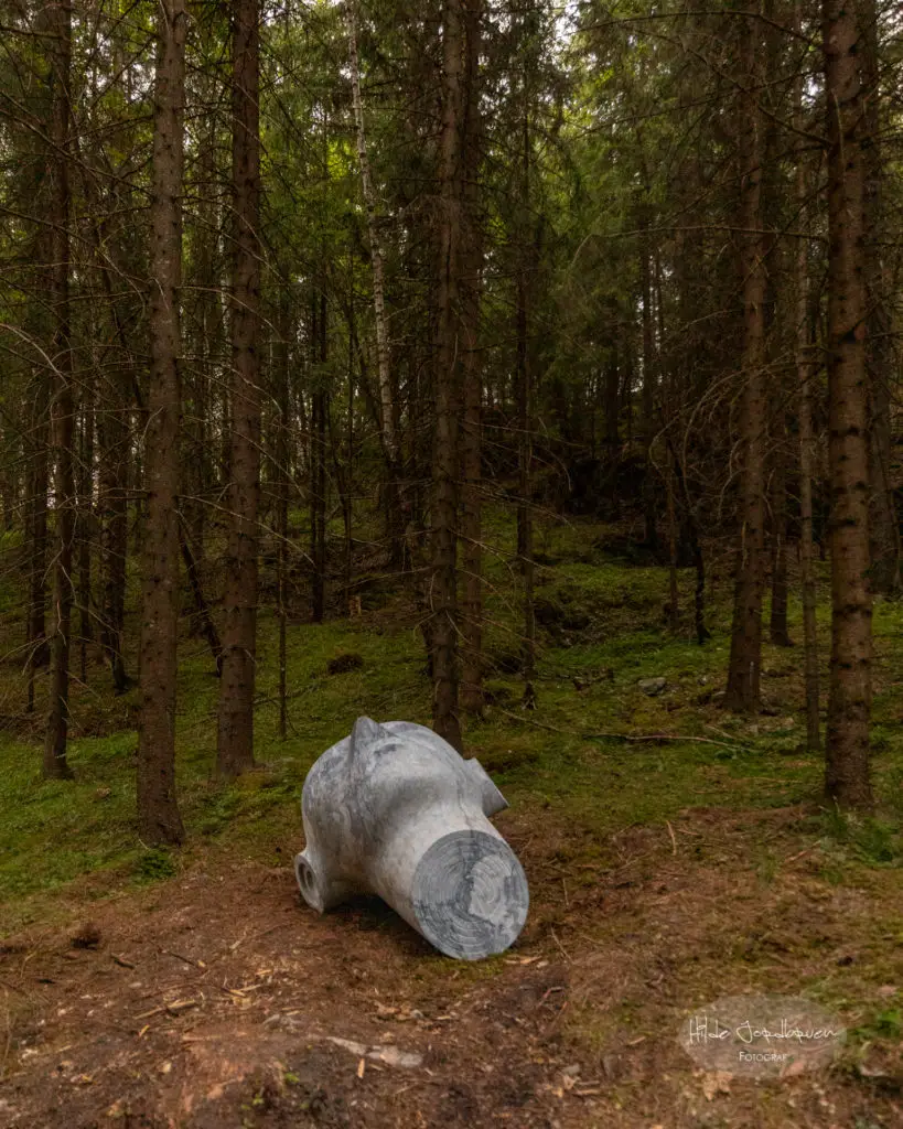 Installasjoner av Ånond Versto