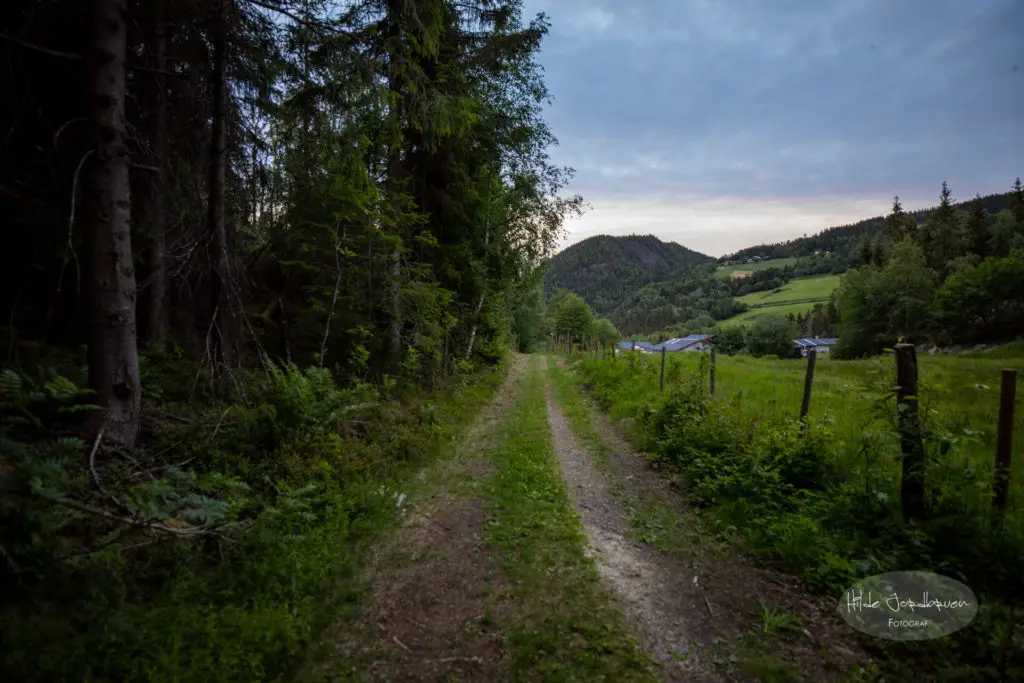 Pilgrimsleden er merket, men det er ikke alltid like lett å se merkene. Stiene er stort sett gode og brede