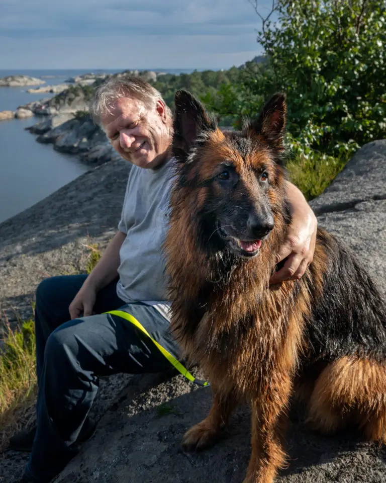Gøy for hunden å kunne bade litt - og så får hun heller tørke seg på svaberget