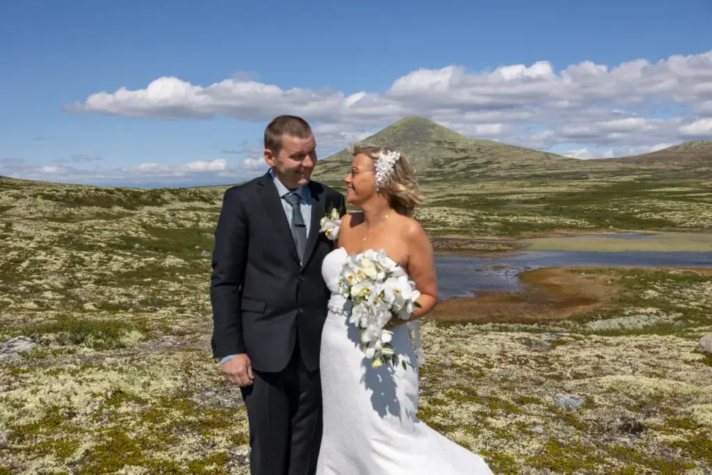 Venabygdsfjellet