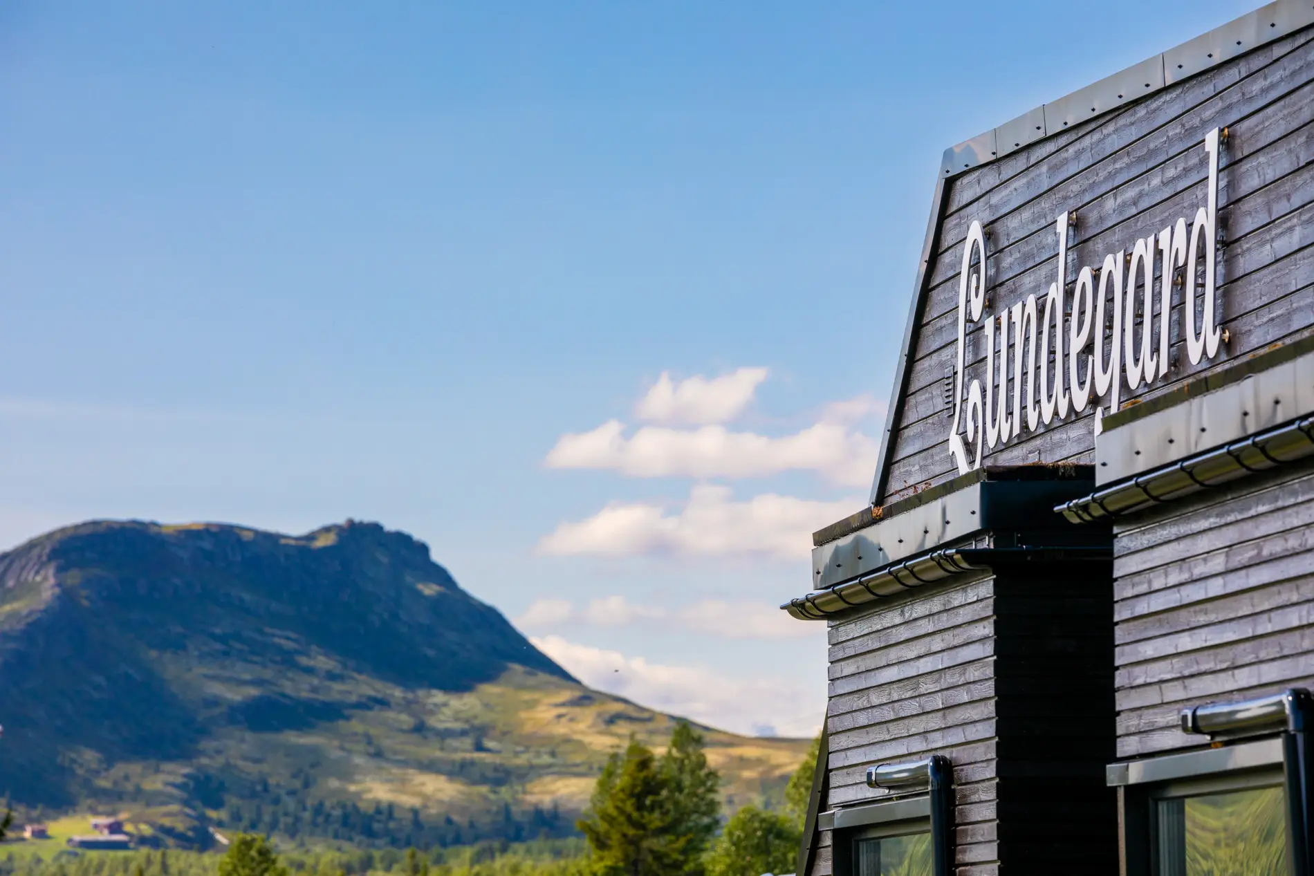 Lundegaard