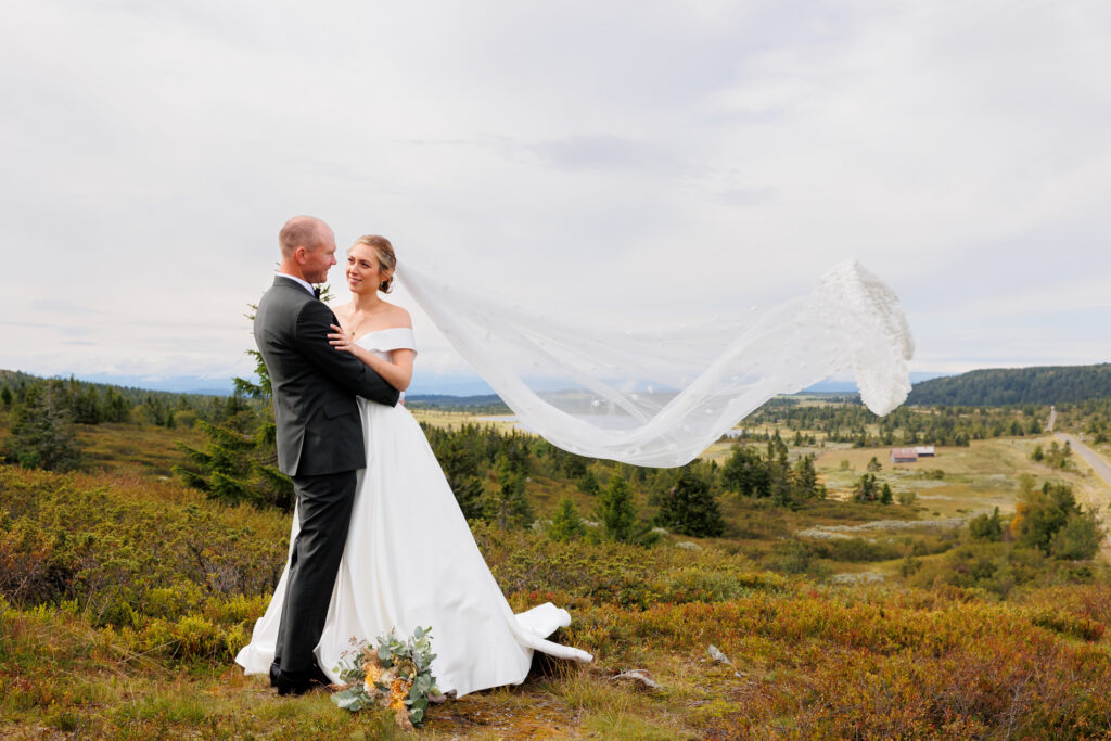 Litt vind i sløret og et nydelig lys i lettskyet vær